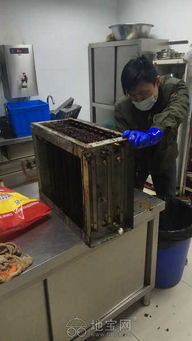 油烟机与冰箱专业维修保养服务