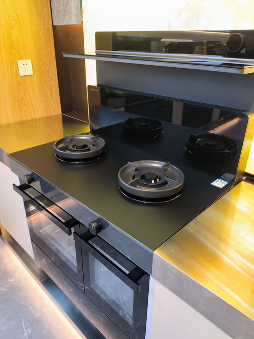 厨房家电选择指南 独立购置与集成产品的利弊分析